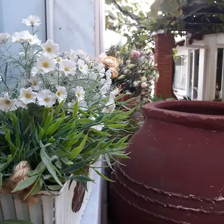 Galini Limenas (Thasos)