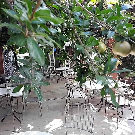 Hotel Galini Limenas (Thasos)