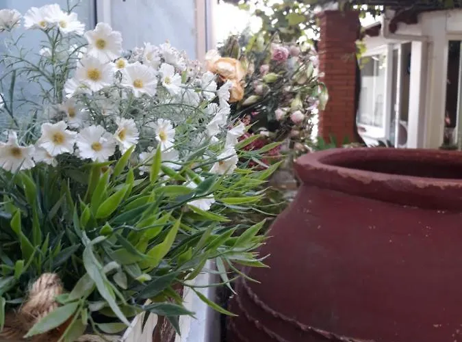 Galini Limenas (Thasos)